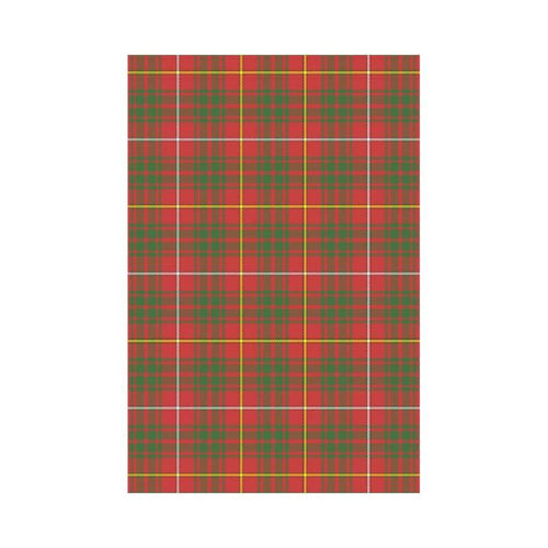 Bruce Modern Tartan Flag