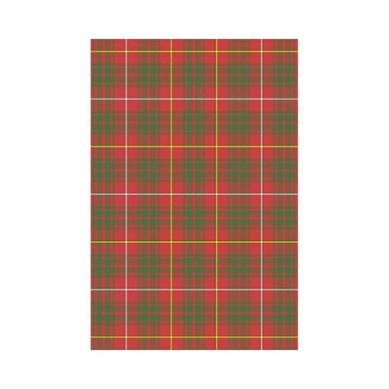 Bruce Modern Tartan Flag